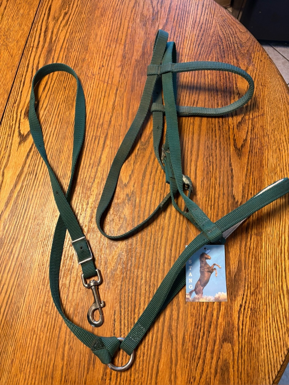 Horse Tack Mustang Green Nylon Noseband Tie Down Matching Reins - Picture 2 of 5